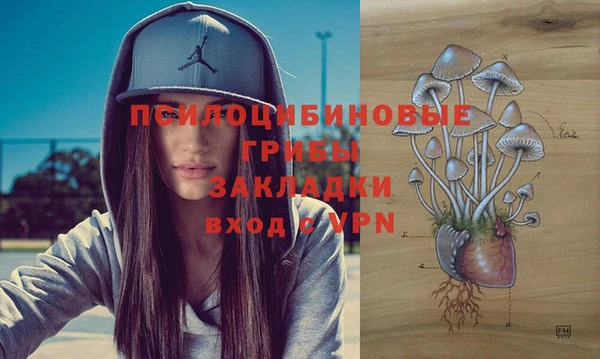 марки lsd Новодвинск